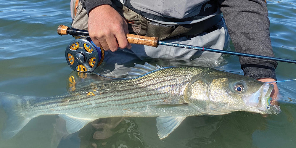 Mastering the Art of Fall Fly Fishing: 5 Essential Tips for Landing Striped Bass on the Beach