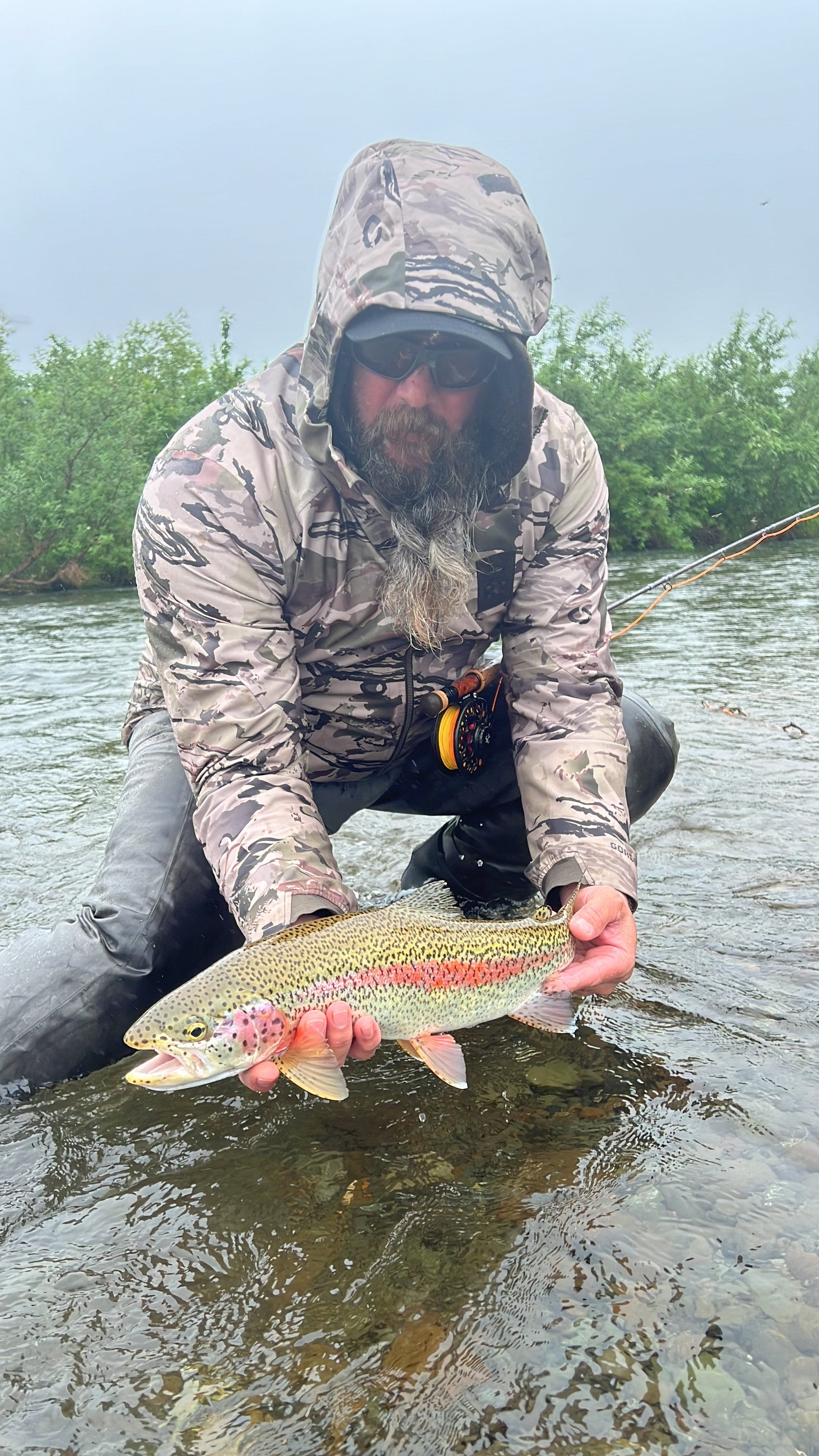 Best Fly Rods for Beginners: Complete Starter Guide | Rise Fishing Co. Best Fly Rods for Beginners: Complete Starter Guide | Rise Fishing Co.
