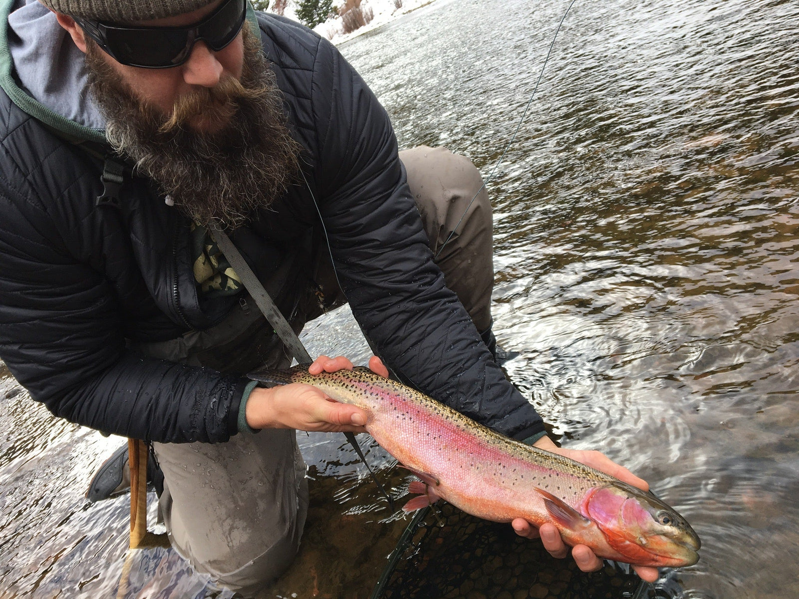 Frying pan Rainbow trout