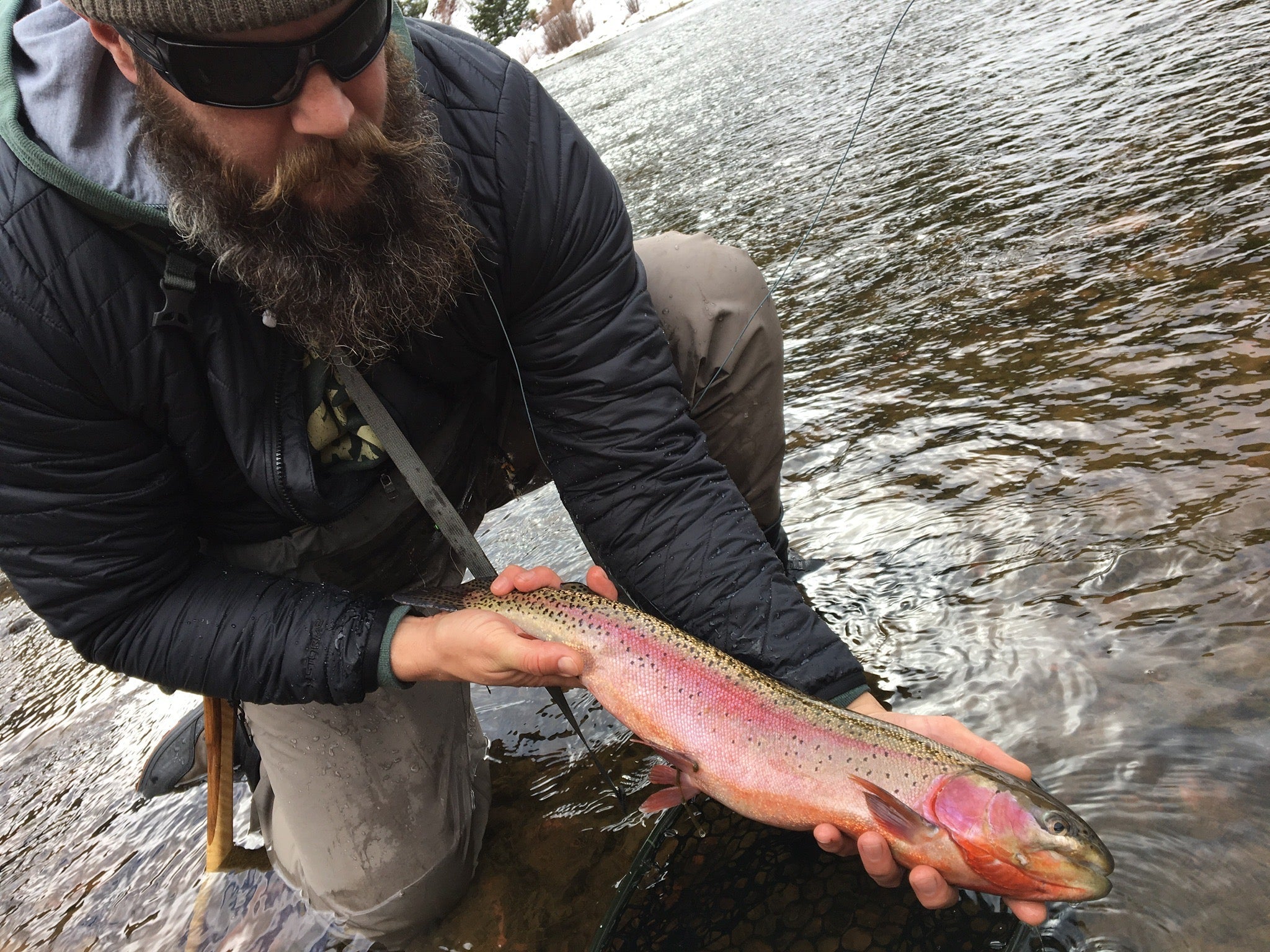Frying pan Rainbow trout