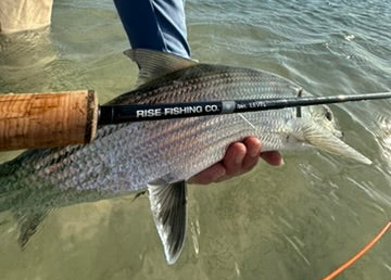 Fly Rod Weight Chart: Complete Guide to Choosing the Right Rod