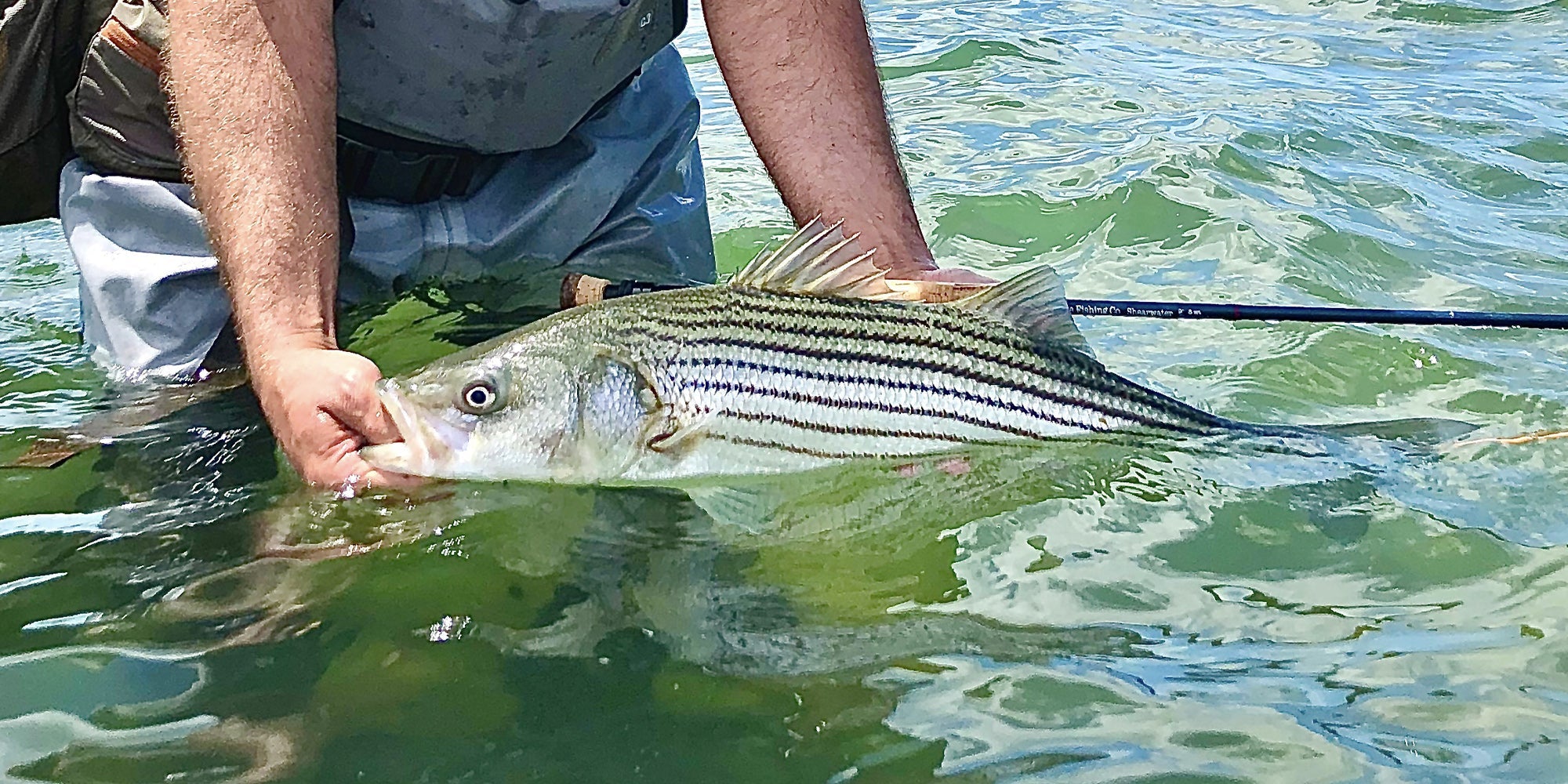 The Basics of Choosing the Correct Floating Fly Line