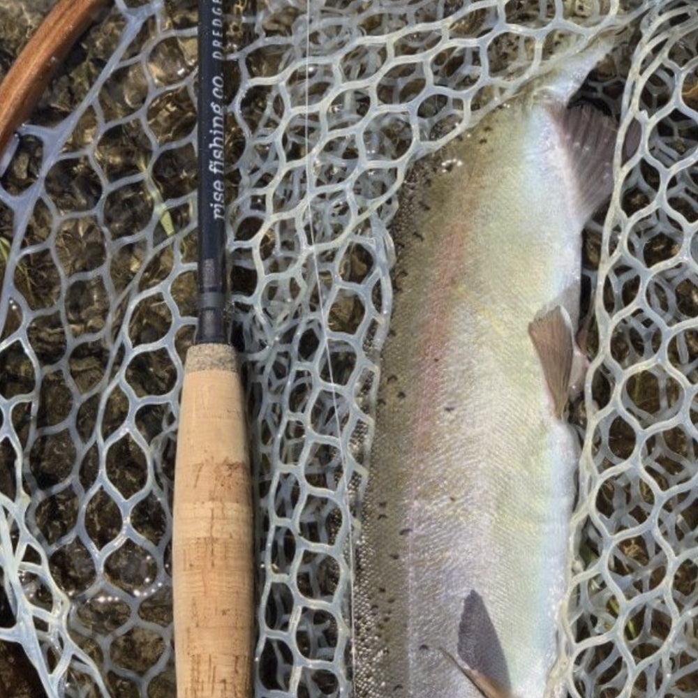 rise fishing co dredge euro nymph 3wt fly rod rainbow trout