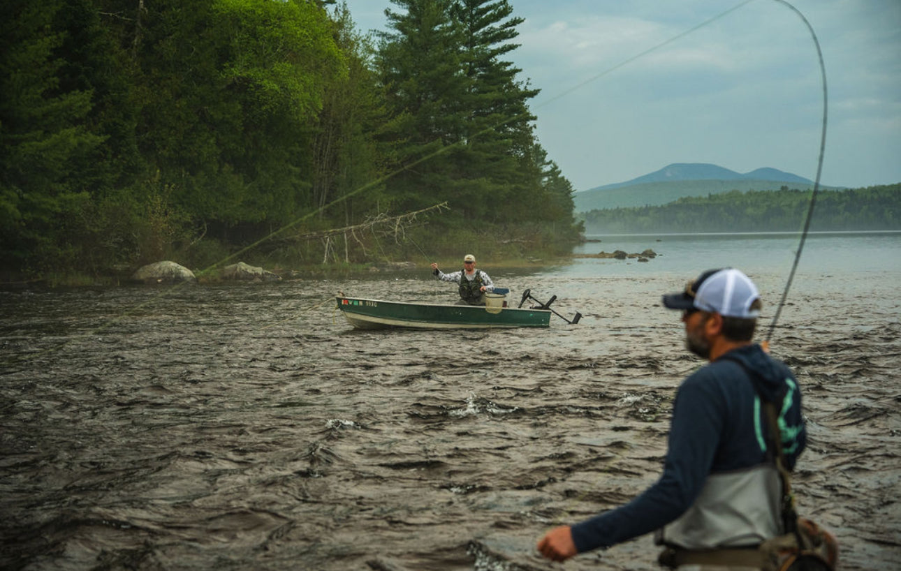 Rise fishing co fly fishing with 5wt fly rod and fly line
