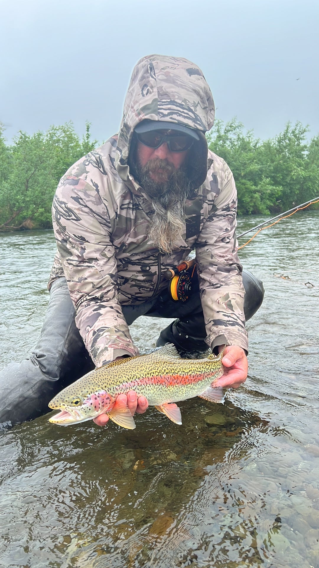 Rainbow trout in Alaska