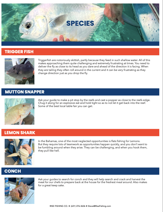 Rise fishing co fly fishing trip to Bahamas species2