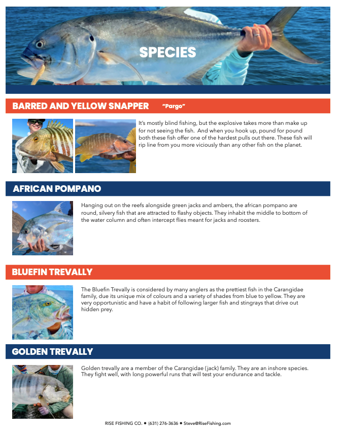 Rise fishing co fly fishing trip to baja mexico species continued