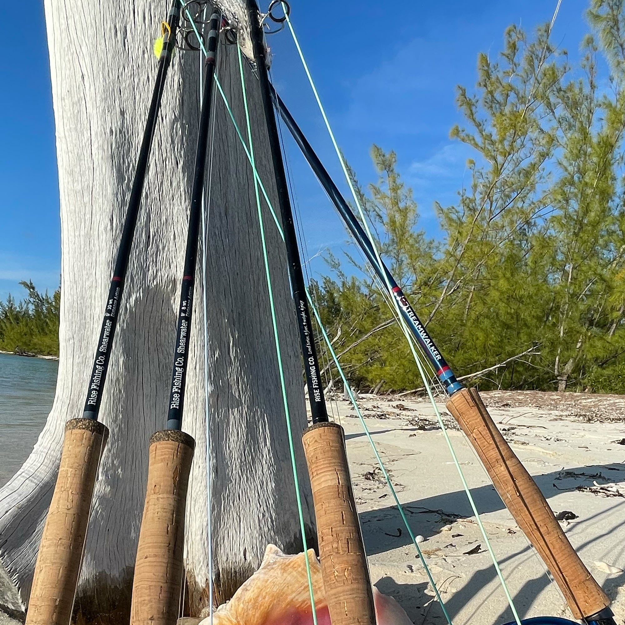 Fly Fishing Reels - Freshwater & Saltwater Fly Reels | Rise Fishing Co ...