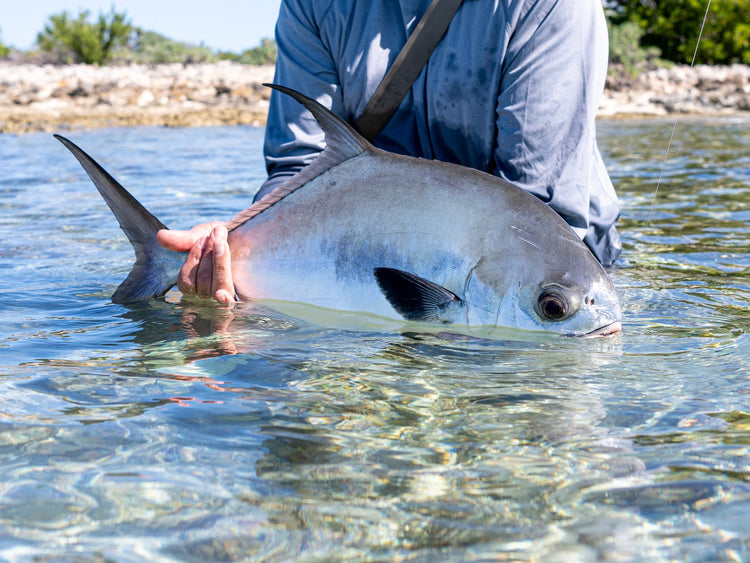 rise fishing co fly fishing trip to Belize permit