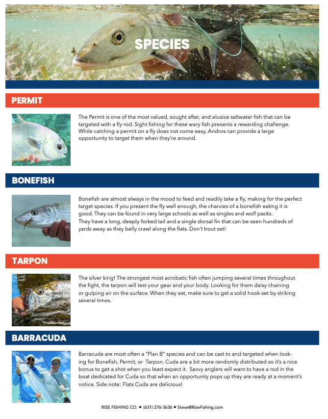 rise fishing co fly fishing trip to Belize species